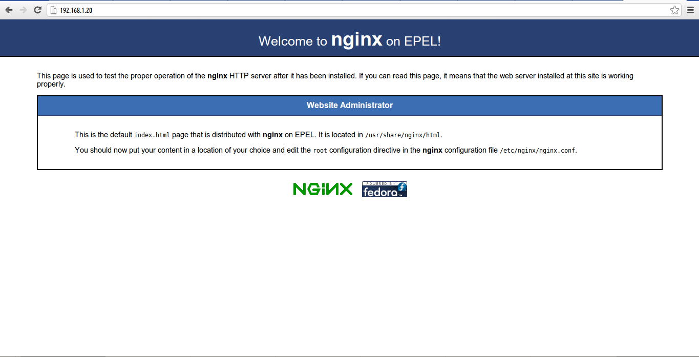 Nginx index html. Welcome to nginx. Nginx Error_Page.