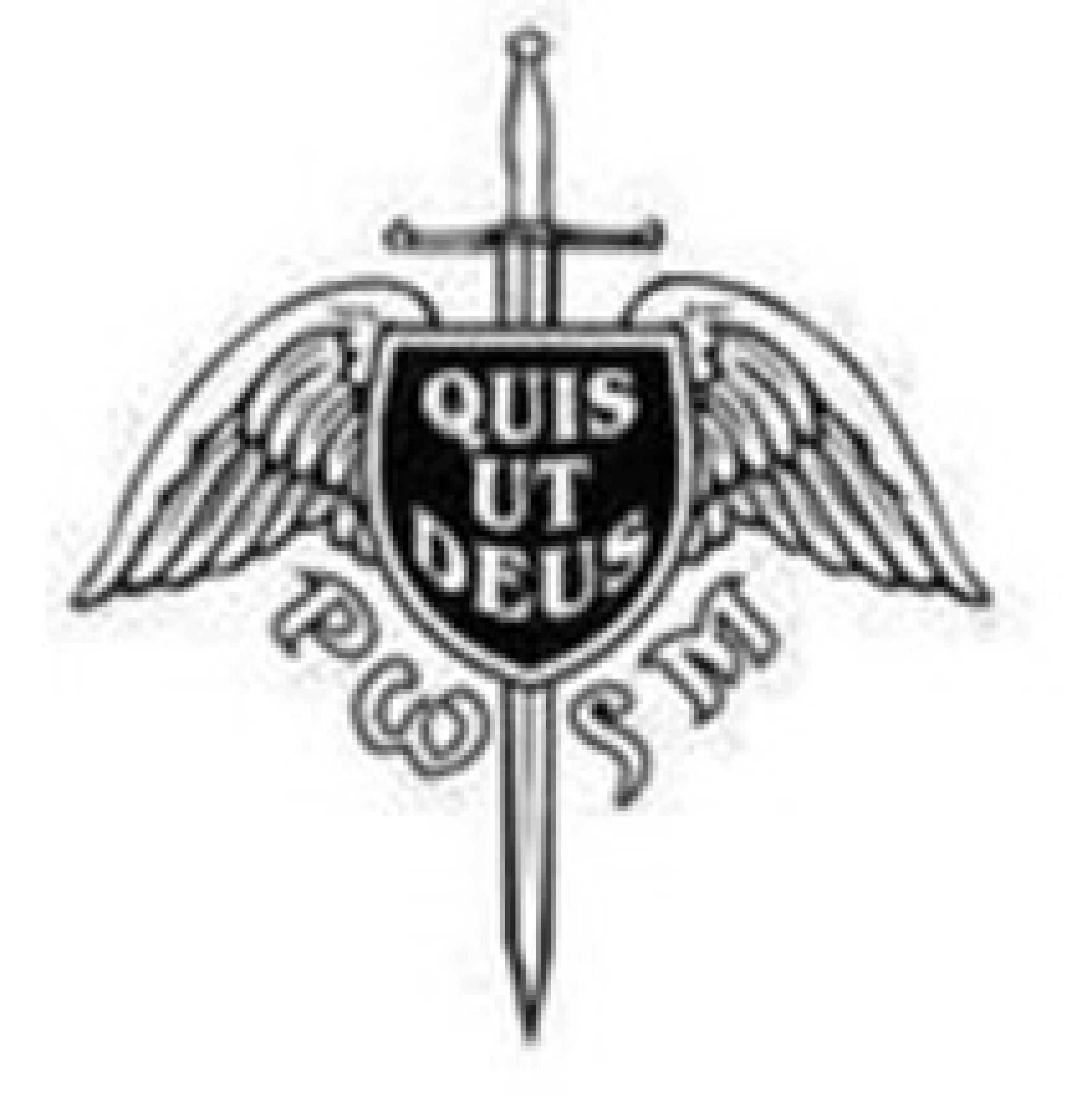 Quis quis бренд как произносится. Quis. Qui. Qui quae quod что означает это выражение. Ego sum qui sum.