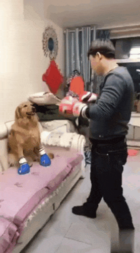 1515018145177153364.gif