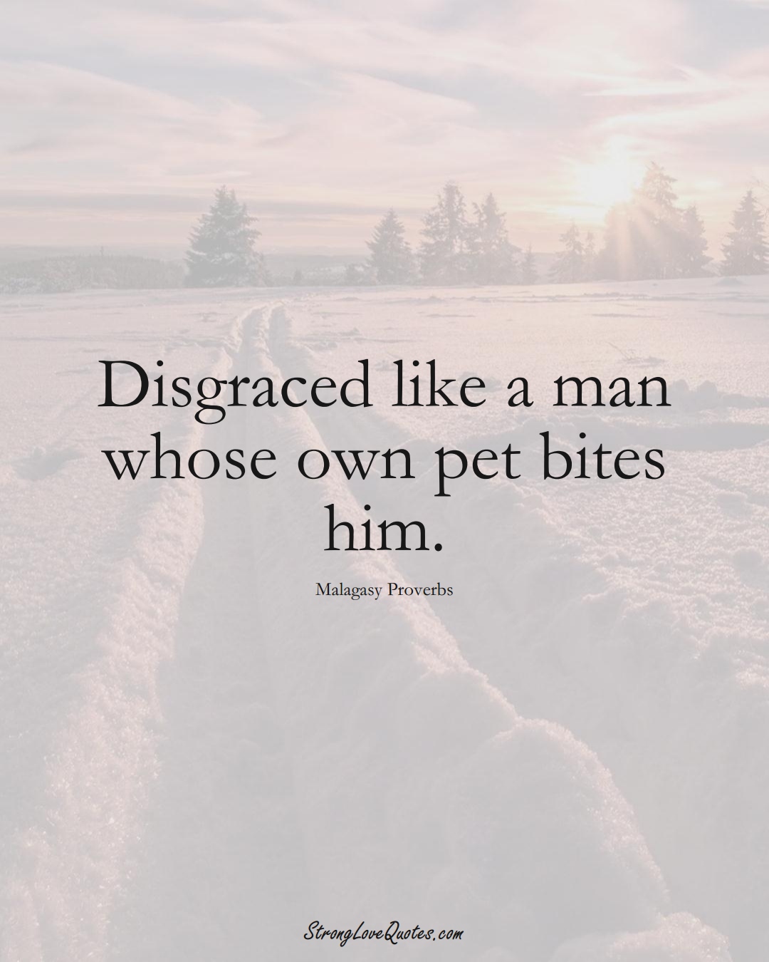 Disgraced like a man whose own pet bites him. (Malagasy Sayings);  #AfricanSayings