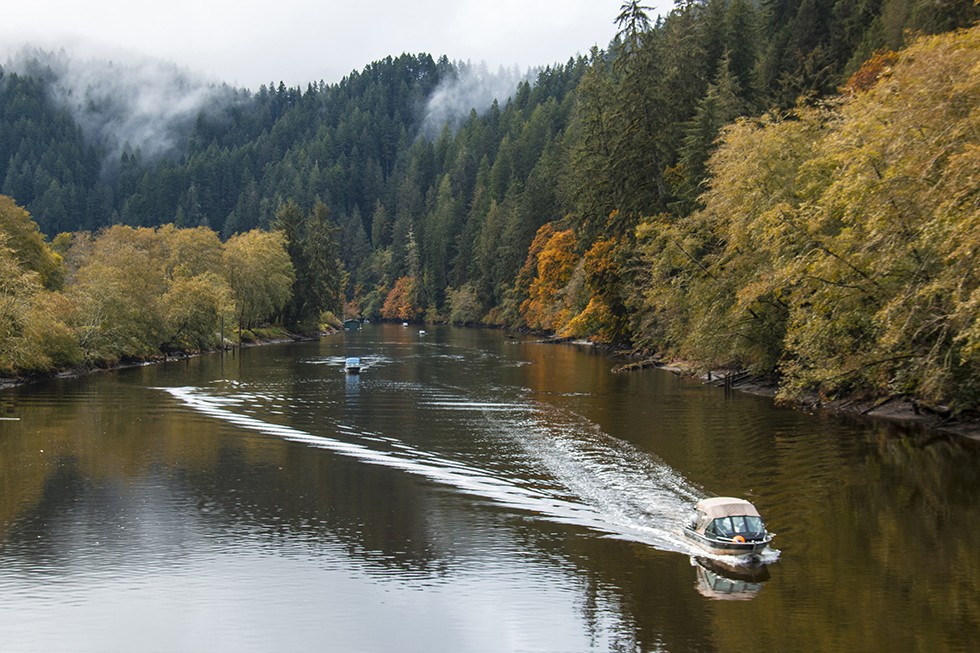 Photographing Oregon Alsea River