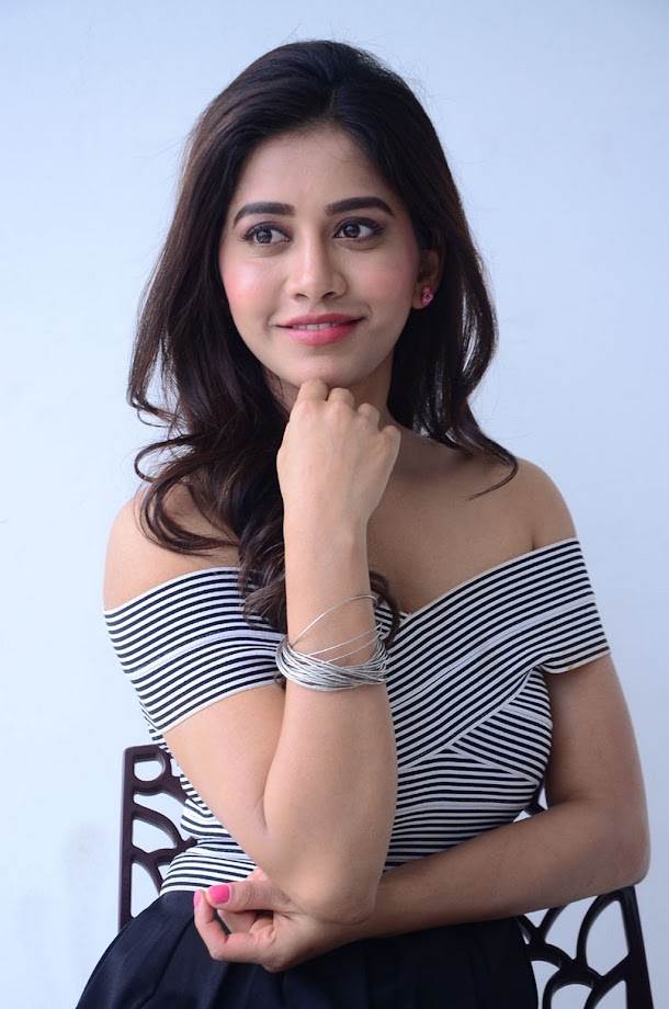 Nabha Natesh at Nannu Dochukunduvate Interview