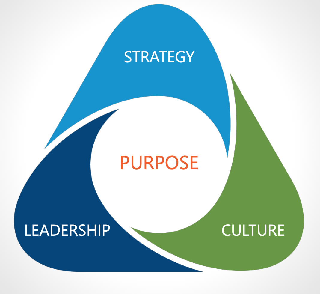 Purpose Driven OrganizationsIntroduction