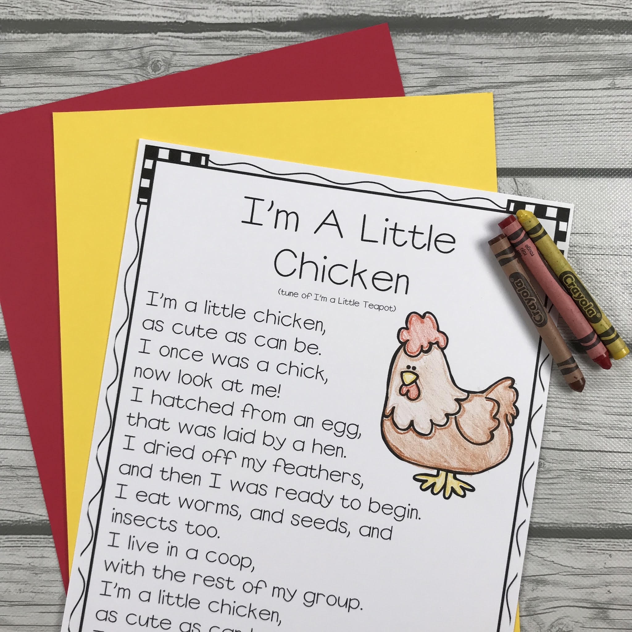 Life Cycle of a Chicken Activities Mrs. McGinnis' Little Zizzers