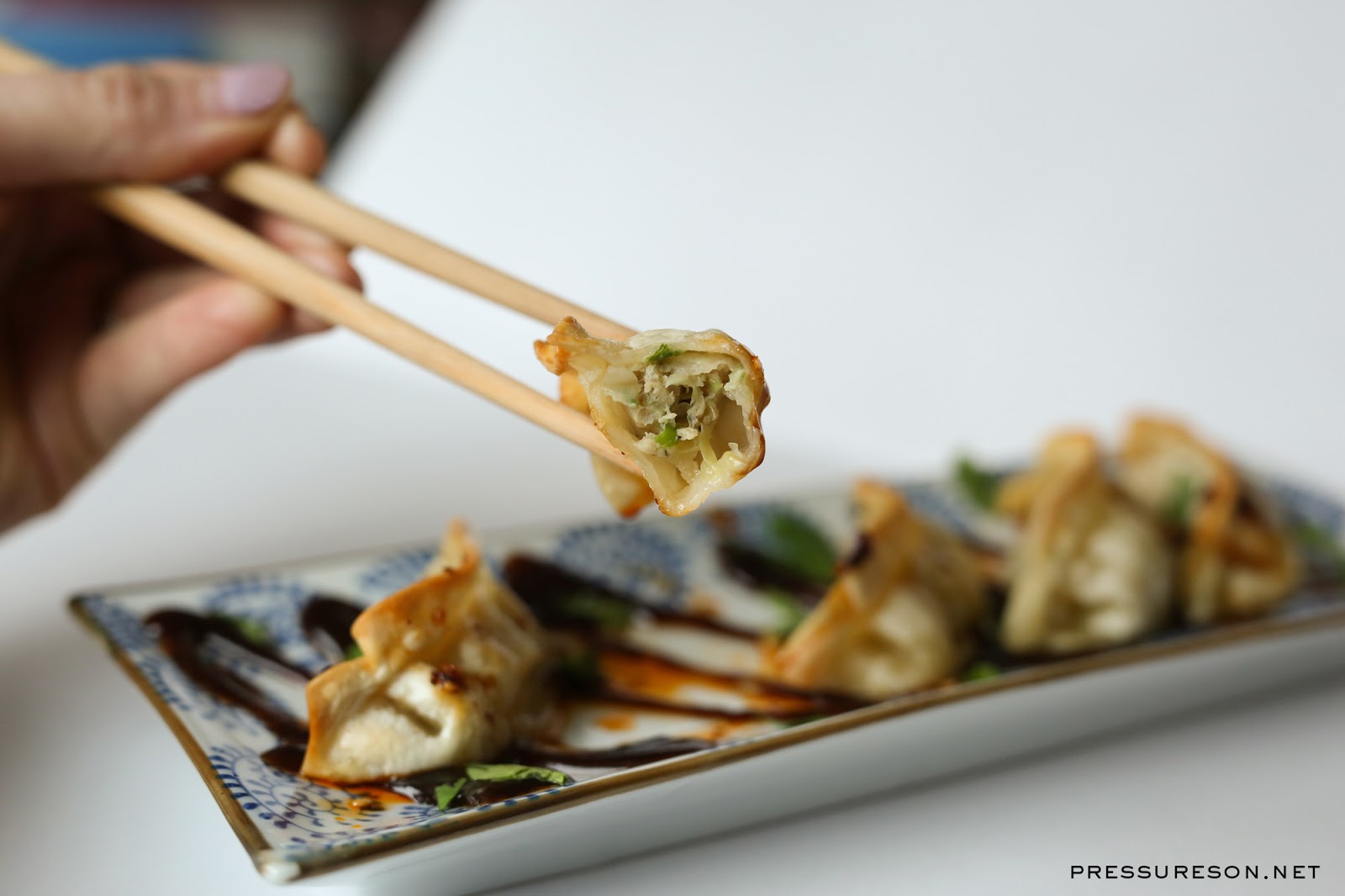 air frozen fryer dumplings potstickers cooking recipes pressure frying dumpling discuss sure join favorite