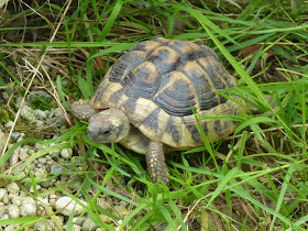 Made By Vicky Gegartnert