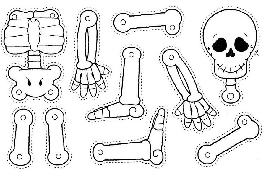 Esquemas Ficha: Puzzle Esqueleto Cuerpo Humano
