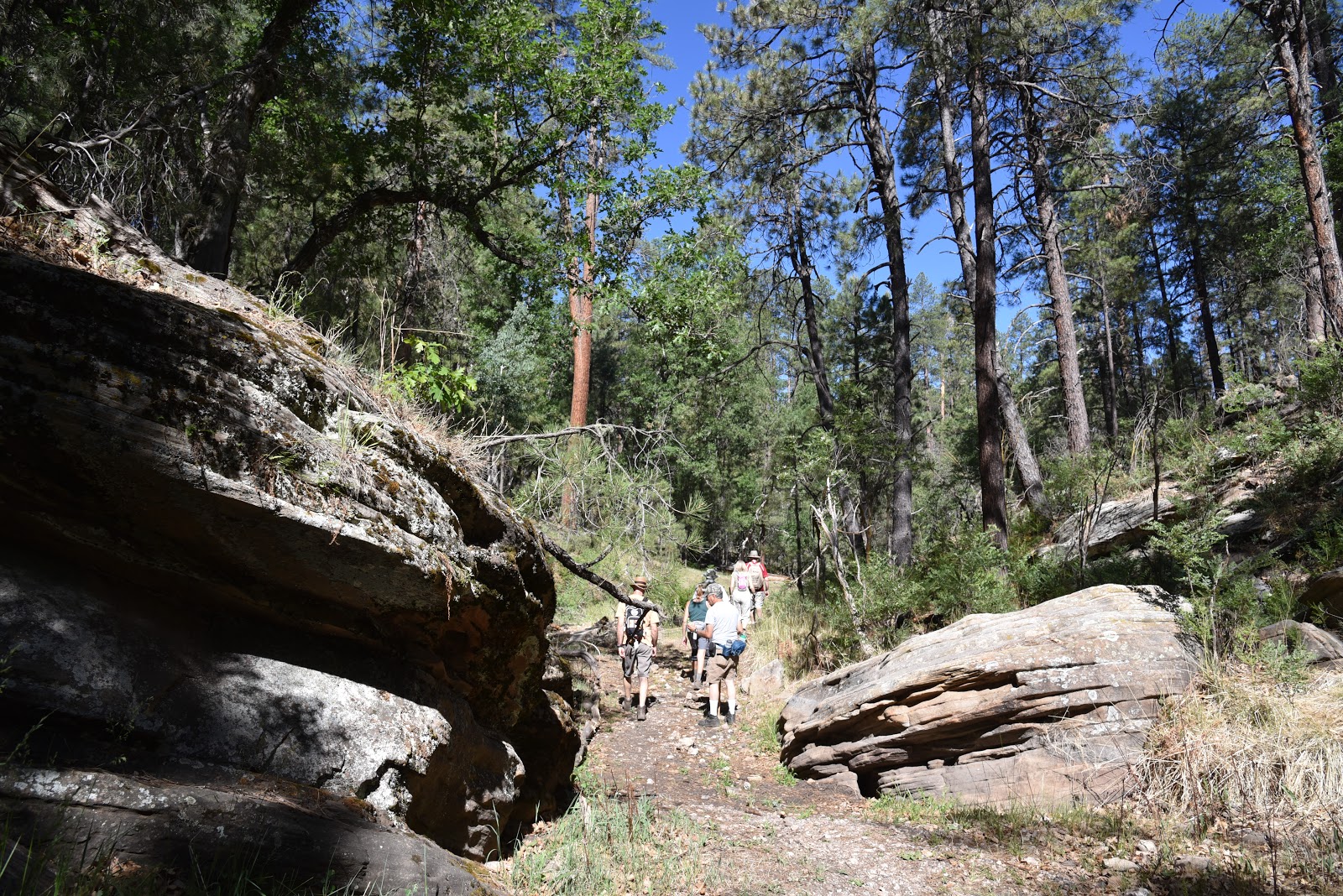 Arizona Hiking PIVOT ROCK CANYON & WILDCAT SPRING