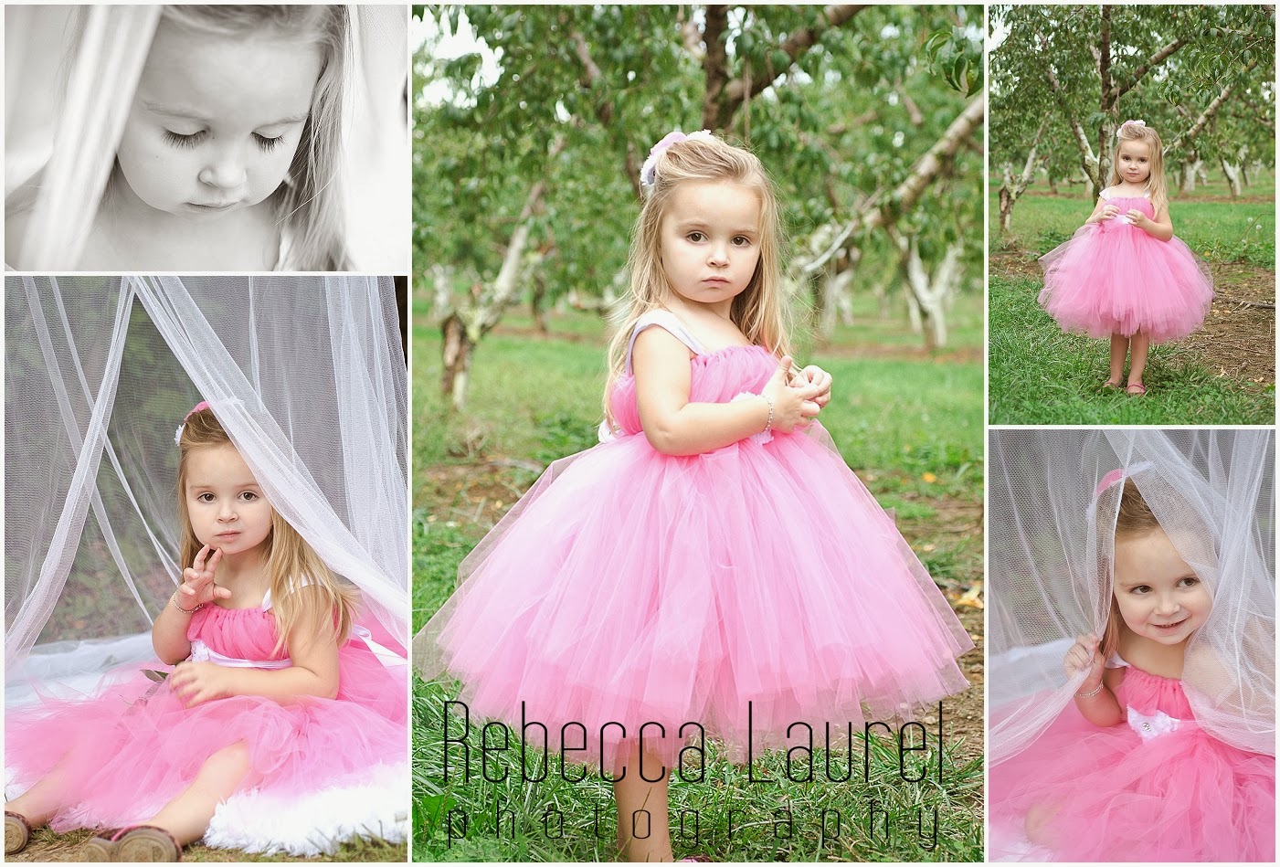Rebecca Laurel Photography: Pink Princess