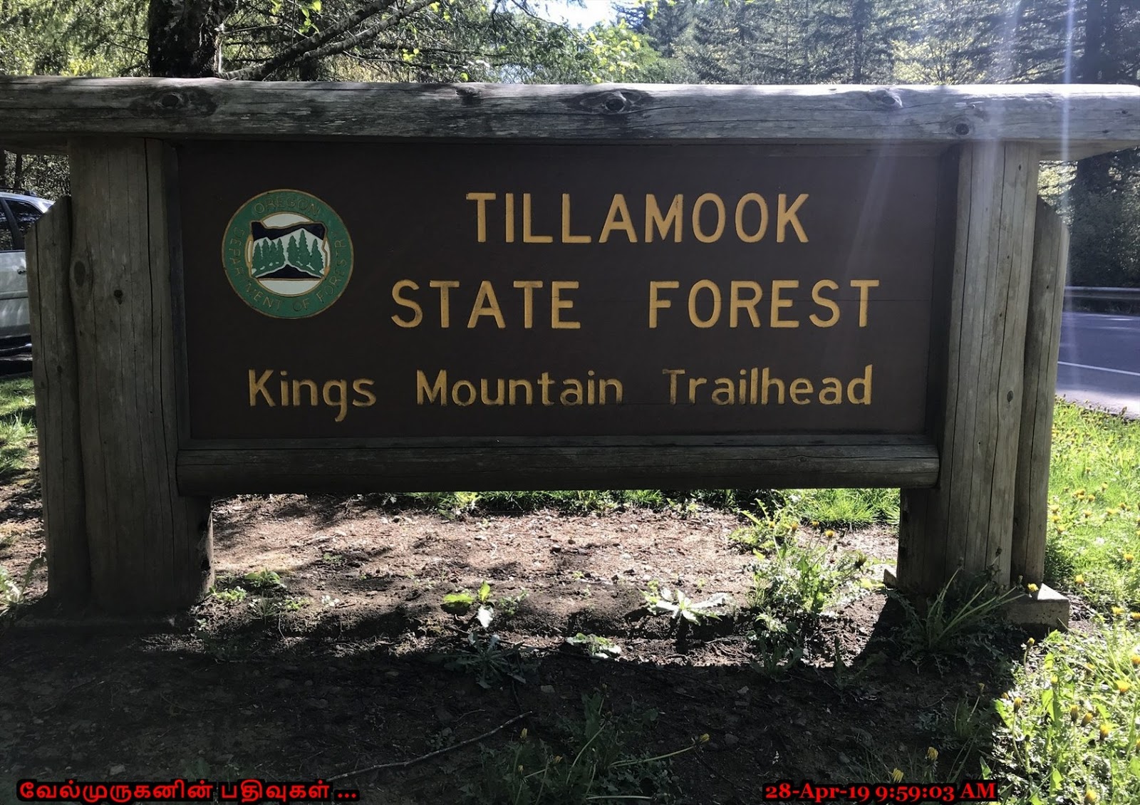 Kings Mountain Hike Oregon Exploring My Life