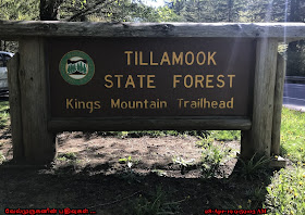Kings Mountain Trail Oregon