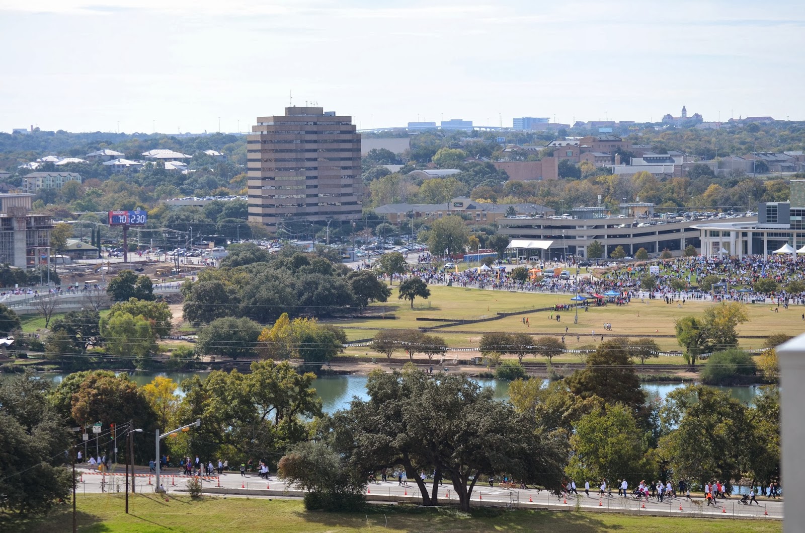 Austin, Texas Daily Photo Turkey trotting