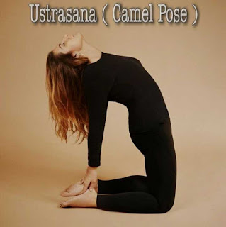 Ustrasana (back bending camel pose)