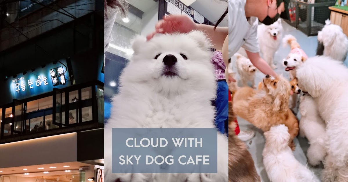 what are sky dogs