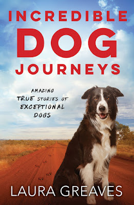 Book Cover of Incredible Dog Journeys by Laura Greaves