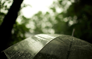 Rain Photography HD wallpapers