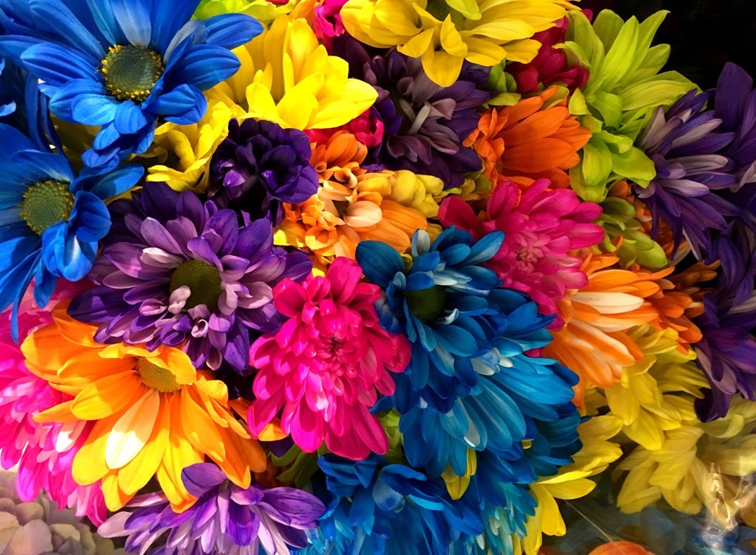 Myiphonepics Dyed, tinted fresh flowers...........