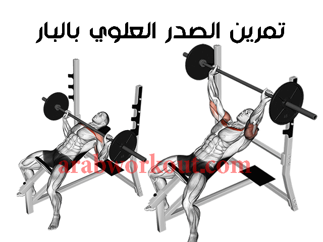 تمرين الصدر العلوي للمتقدمين تمرين الصدر العلوي للمتقدمين