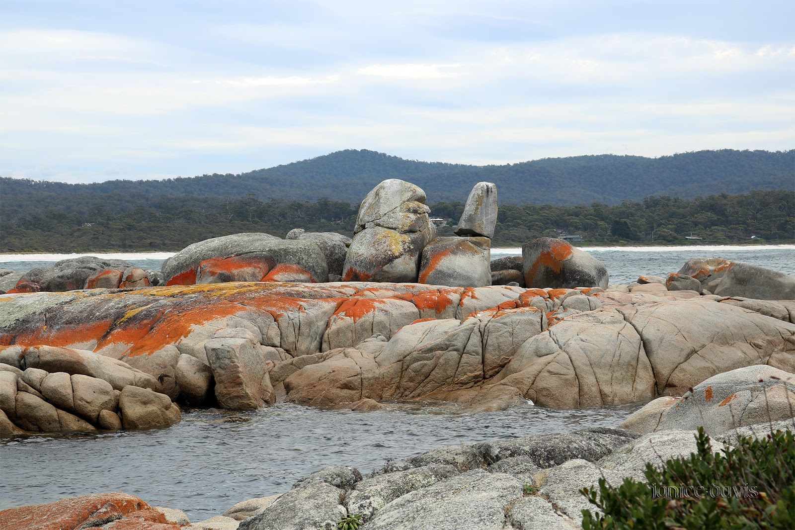 thoughts & happenings Binalong Bay, Tasmania