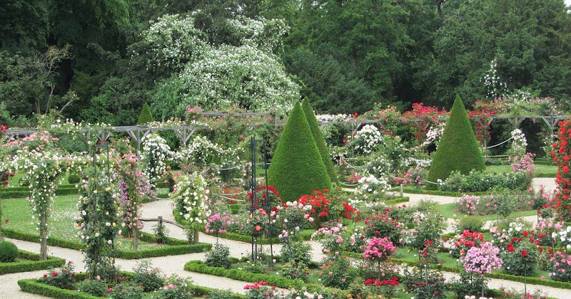 Itchy Feet - Welcome!: Parc De Bagatelle, Paris' most beautiful rose garden