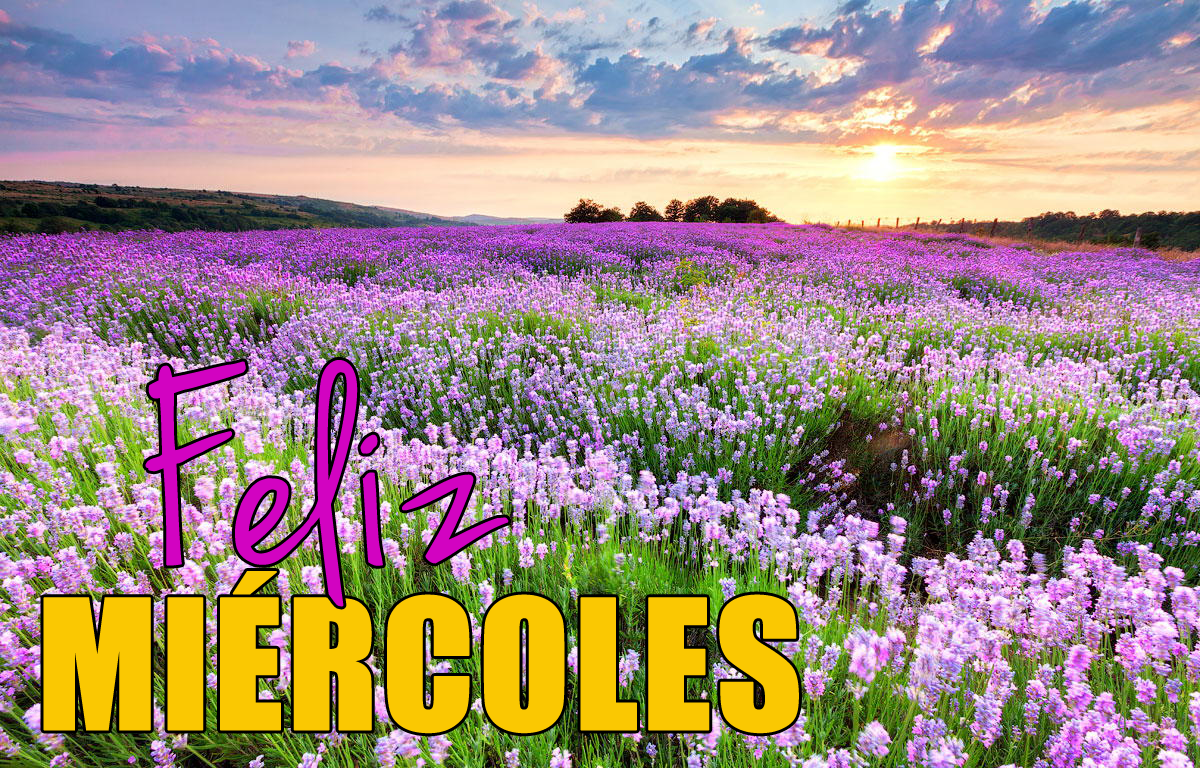 Resultado de imagen de feliz miercoles