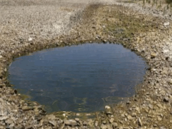 Resultado de imagen de charco