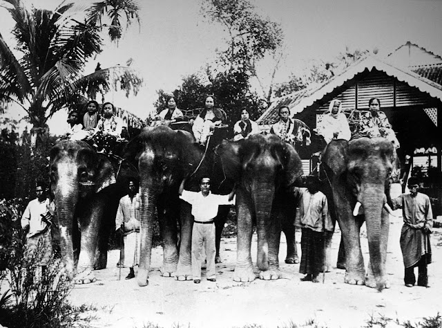 “Even though there were cars in Malaya by then, elephants were still used as transport in the early decades of the 20th century in Perak.”