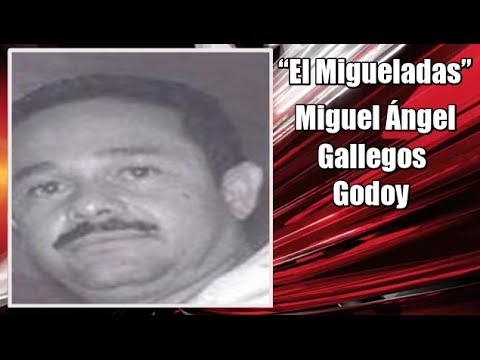 EL "MIGUELADAS" ( MIGUEL ÁNGEL GALLEGOS GODOY ) : EL NUEVO REY DE LA DROGA EN MICHOACAN...POR ACCIÓN Y OMISIÓN DE LOS DISTINTOS GOBIERNOS, FEDERAL Y ESTATAL. Hqdefault