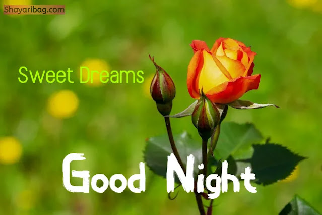 Good Night Image Good Night Image
