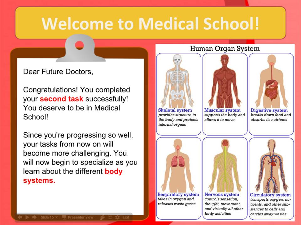 Ms Rashid: Human Organ Systems #3