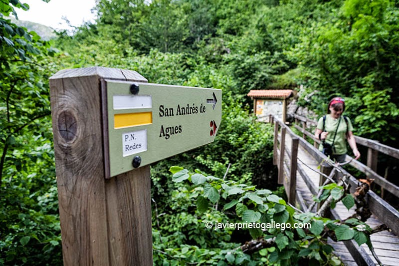 Ruta del Alba. En el parque natural de Redes. Asturias. España. © Javier Prieto Gallego