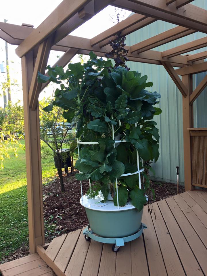 Everyday Organic Gardening Blog Produce For Today