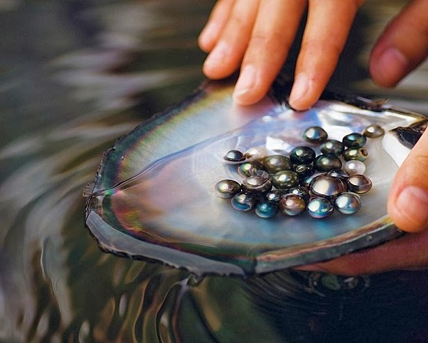 parel nike factory outlet