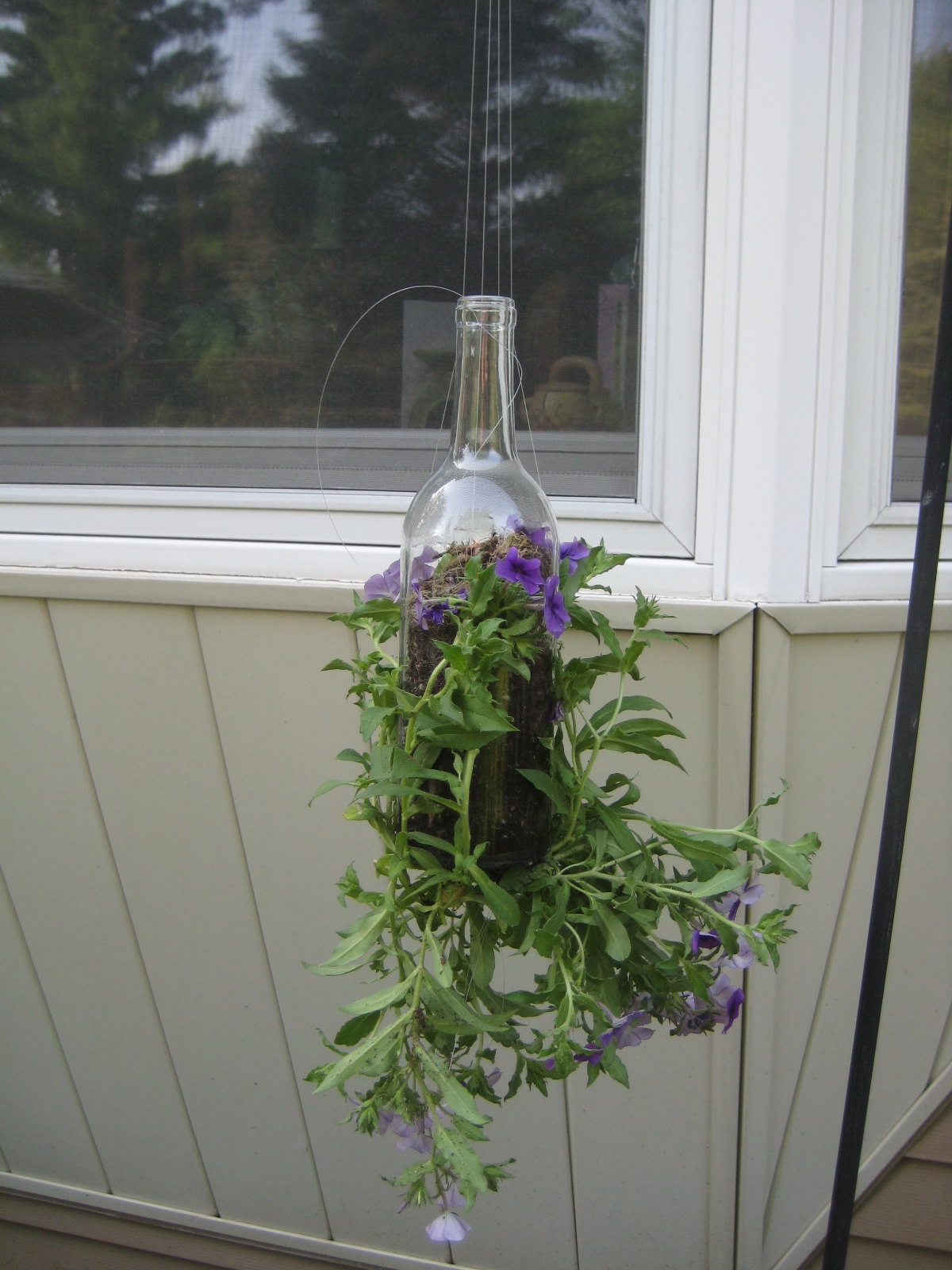 Making it Merry Wine Bottle Planter