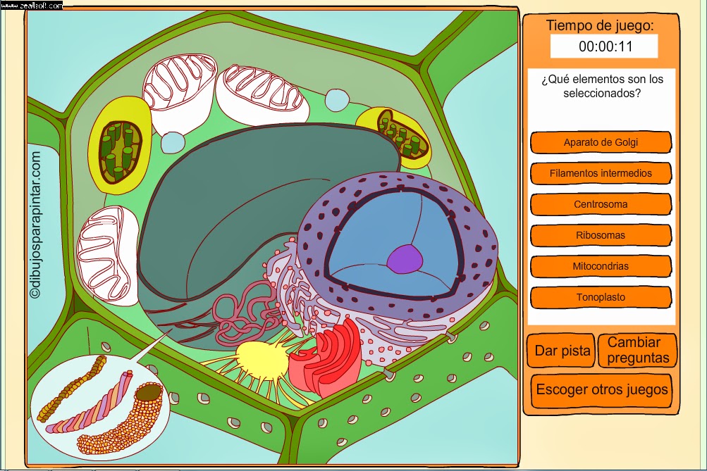 juegos2.bmp