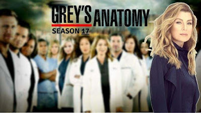 How to watch Grey's Anatomy season 17 from anywhere