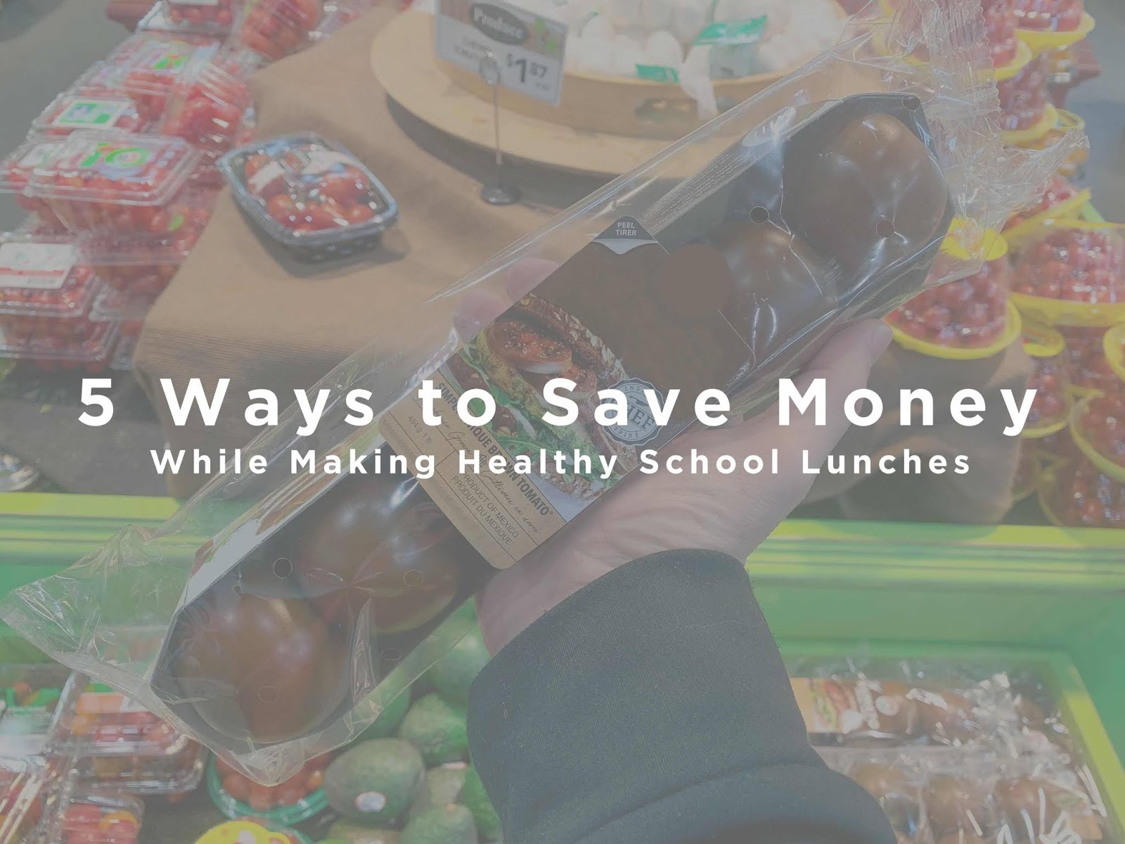 Lunchbox Dad 5 Ways to Save Money While Making Healthy School Lunches