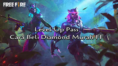 level up pass ff