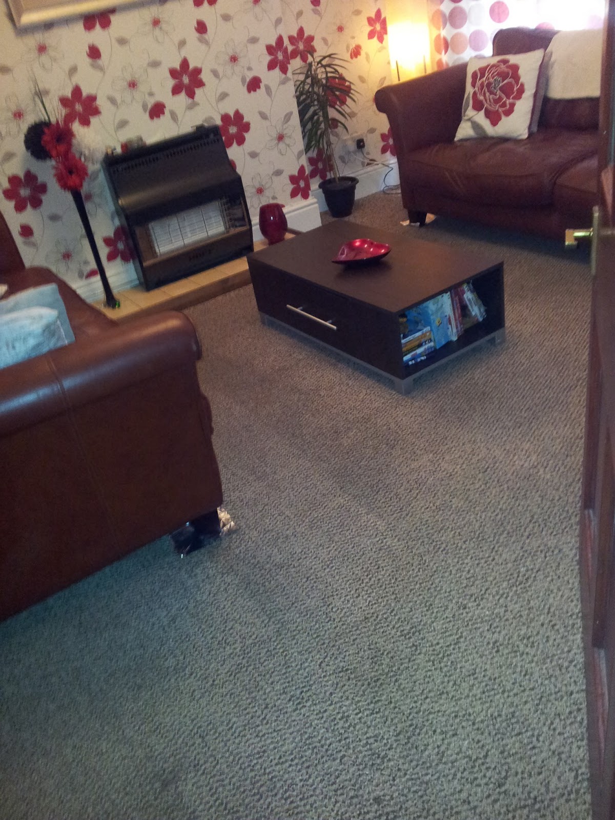 *REVIEW* Rug Doctor Coming from Carson's Mummy