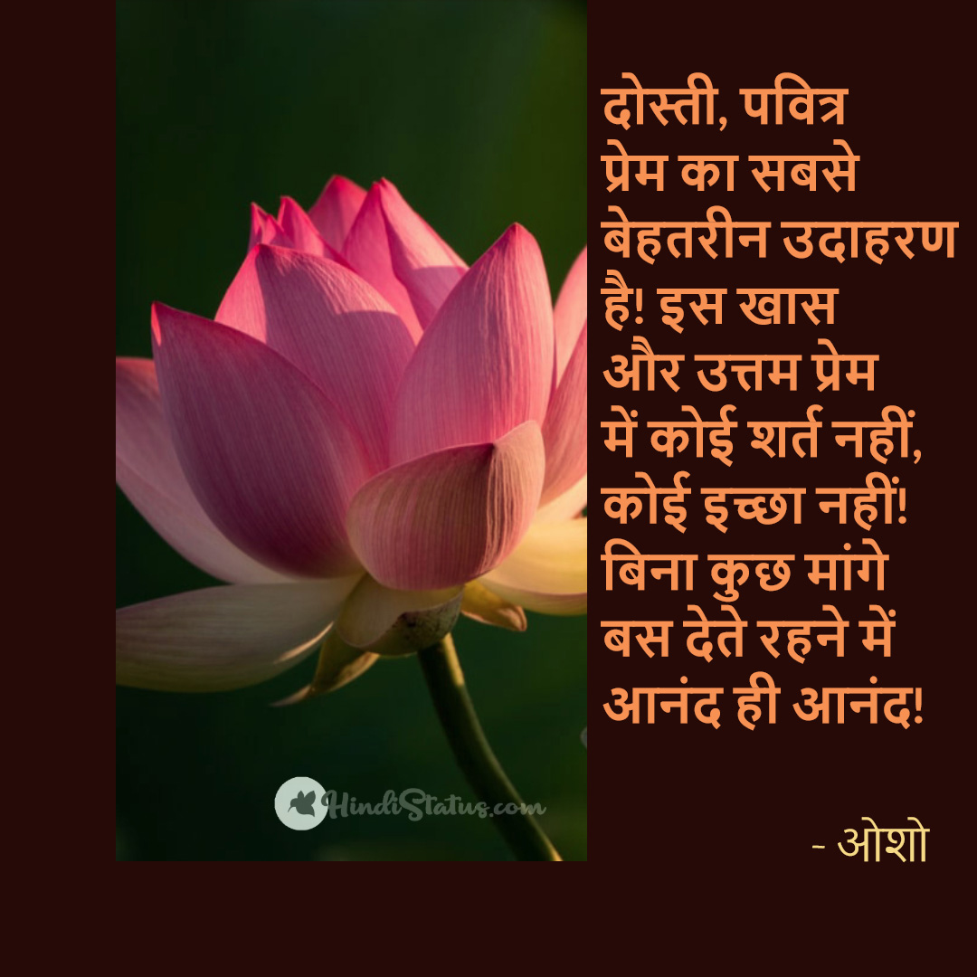 Friendship - Osho - Hindi Status : The Best Place For Hindi Quotes ...