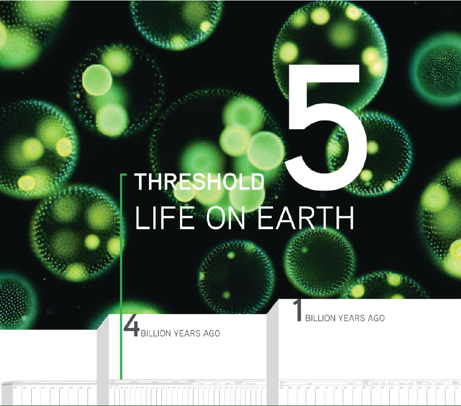 Big History Project Year 2 New 2 Homeschooling