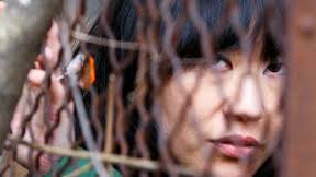 Penganiayaan Agama: Lebih dari 300 Tempat Eksekusi Terbongkar Di Korea Utara