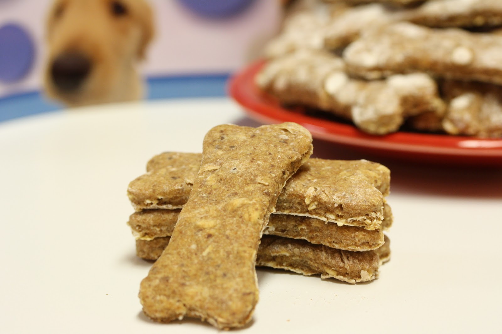 Peanut Butter Dog Treats Saving Room for Dessert
