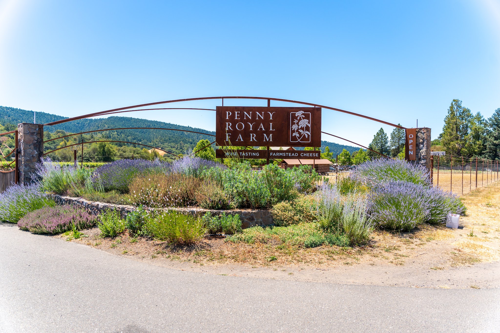 Visit Pennyroyal Farm in Boonville, California for the Wine, Cheese and