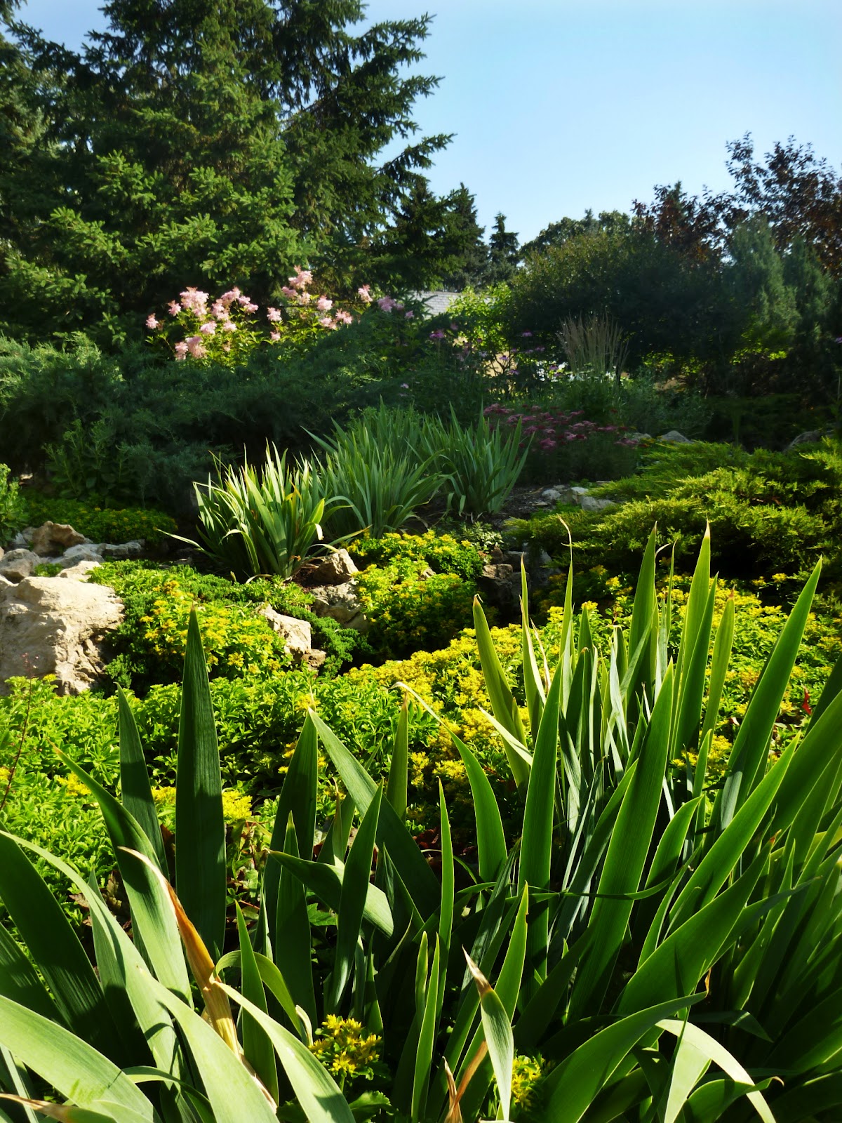 Digging Deeper Weed Barrier A Weed's Best Friend