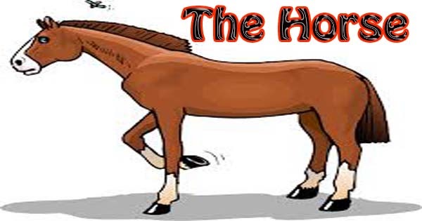 Horses of the night chris conflict picture