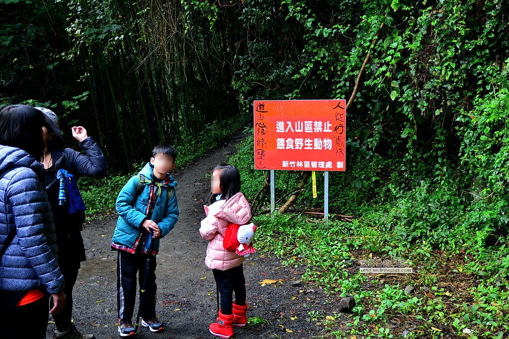 上帝的部落,司馬庫斯,鎮西堡,巨木群,神木,新竹必去景點