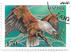 Selo Águia-pescadora-africana