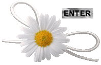 oie_overlay%2B%25281%2529.gif