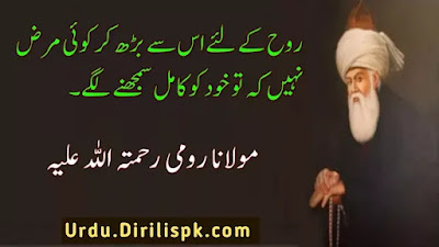 Rumi Quotes in Urdu